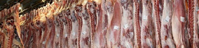 La UE fija medidas para importar carne y delimita zonas restringidas por la peste porcina africana